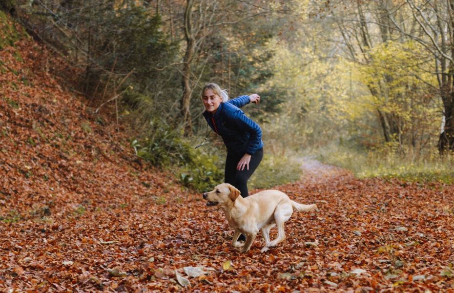 dog behaviour training