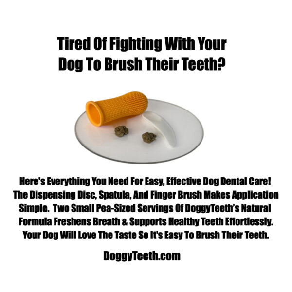 Image of DoggyTeeth disc with spatula finger dog toothbrush and two small servings of dog toothpaste