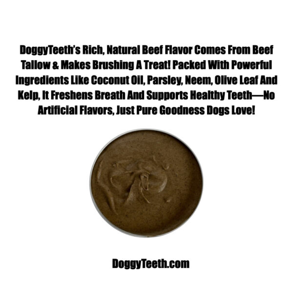 Open Jar of DoggyTeeth Power Blend showing the rich taste of beef tallow