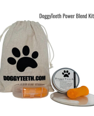 Image of DoggyTeeth Power Blend Kit showing canvas bag, serving disc, spatula, doggyteeth tallow toothpaste and two finger brushes in cases