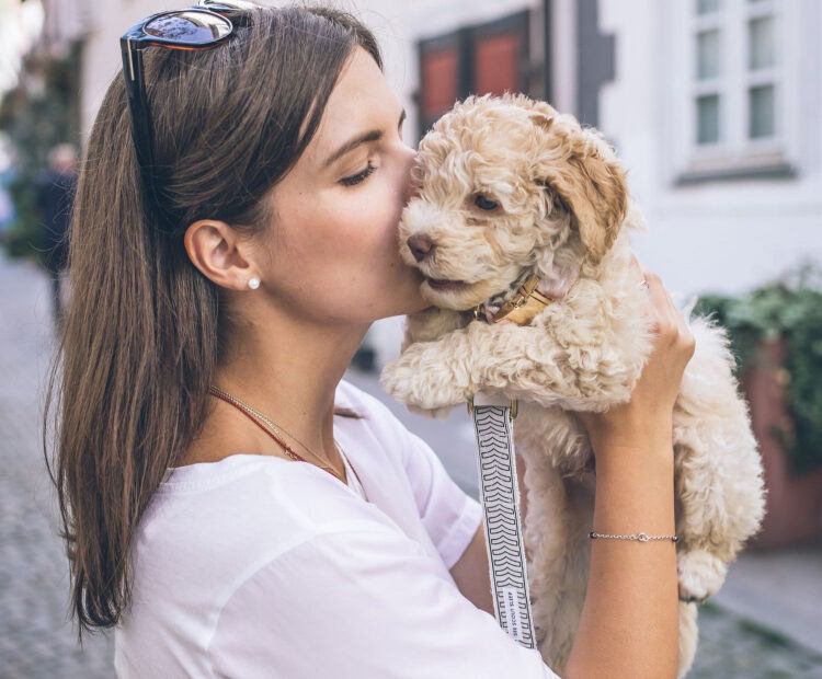 Dog Toothpaste Makes You Love Their Breath