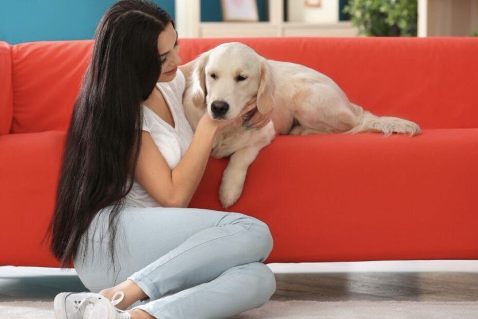 The Hidden Cause Of Your Dog's Bad Breath