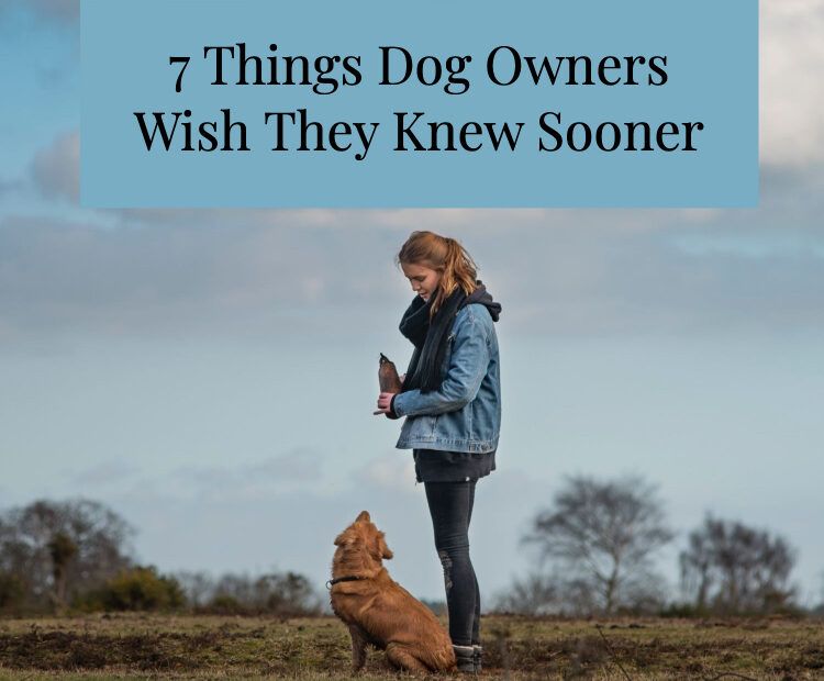 7 Things Dog Owners Wish They Knew Sooner