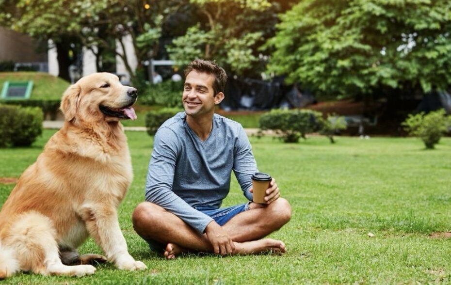 7 Ways DoggyTeeth Makes Brushing Your Dog's Teeth Easier