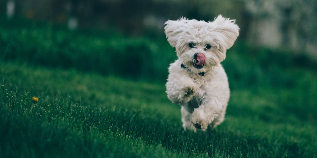 Make time for joy